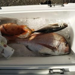 康仁丸・ジギング釣り果